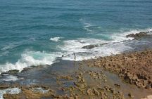 Full-Day 4x4 Adventure from Agadir: Little Desert, Massa