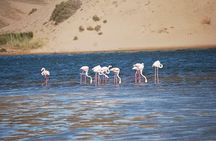 Petiti desert "MASSA" Agadir in 4X4