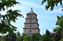 2 Days Xian Small Group Tour: Terracotta Army, Big Wild Goose Pagoda, Mt Huashan