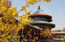 Tai Chi Class with Temple of Heaven Private Half Day Tour