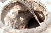 Cu Chi Tunnels and Mekong Delta Full Day Tour