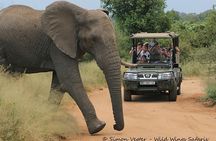 3-Day Kruger National Park Open Vehicle Safari