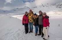 Private fjord tour with premium 4×4 vehicle