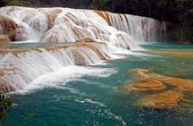 Palenque and Jungle Waterfalls from Tuxtla Gutierrez