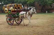 Overnight trip to Delhi and Agra