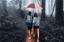 Sri Lanka Honeymoon Tour Package (12 Days , 11 Nights) oll including 