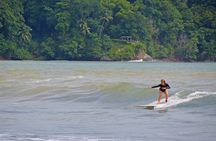 Beginner Surf Lesson
