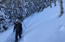 Private Park City Snowshoe Excursions (9:30am/12:30pm start time)
