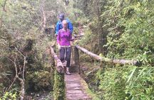 Cochamo Hike Day trip.