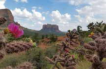Sedona and Grand Canyon Full-Day Tour