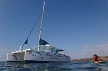 Blue Dolphin - Public Catamaran Tour