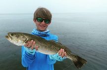 4 hour Fishing Charter with a Tampa Native