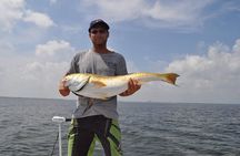 4 hour Fishing Charter with a Tampa Native