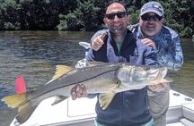 4 hour Fishing Charter with a Tampa Native