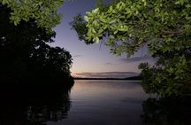 Bioluminescent Bay Kayak Adventure Tour from San Juan