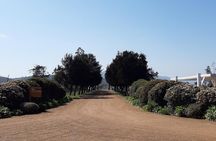 Private Colchagua Valley wine tour all inclusive from Santiago