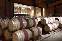 Private Transfer San Antonio Pier to Airport with Vineyard Lunch