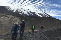 Full day Hiking Solitario trail, Osorno Petrohue Falls