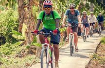 Full-Day Guided Bike Tour of Bangkok's Peripheral Trails