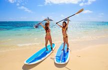 Kailua Stand Up Paddle Boarding Lesson