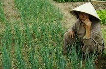 Half Day Cooking Class At Tra Que Vegetable Village Hoi An