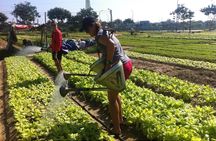 Half Day Cooking Class At Tra Que Vegetable Village Hoi An
