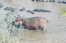 2 Days Ngorongoro & Tarangire From Zanzibar 