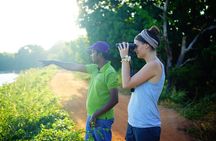 Sigiriya Cycle Tour: Explore Village Life in Sigiriya & Enjoy a Village Lunch