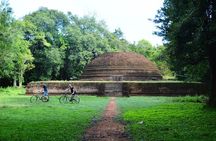 Sigiriya Cycle Tour: Explore Village Life in Sigiriya & Enjoy a Village Lunch