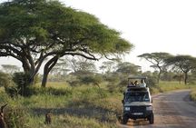 Day Tour to Arusha National Park