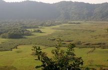 Day Tour to Arusha National Park