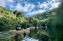 6-Day Garden Route & Addo South African Adventure from Cape Town