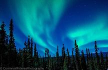 Northern Lights Experience and Cabin Dinner