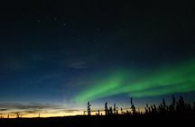 Northern Lights Experience and Cabin Dinner