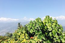 World Peace Stupa Day Hike From Pokhara