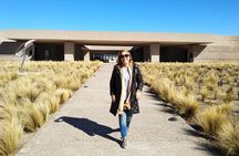 Uco Valley Wineries Day with Private Driver