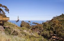 Catalina Island Zip Line Eco Tour