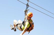 Catalina Island Zip Line Eco Tour