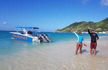 Billy Bones St. Maarten Getaway , Snorkeling with Turtles