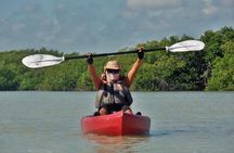Kayak adventure through Laguna Nichupté in Cancun