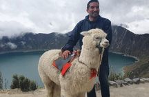 Cotopaxi + Quilotoa: Andes Tour 2 days 1 night 