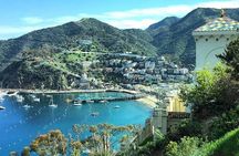 Discover Avalon: Catalina Scenic Tour