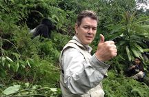  3 Day Gorilla Tracking in Bwindi Impentetrable National Park, Uganda 