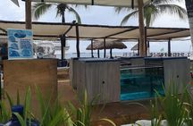 Fish Spa, Beach Break with Lounge Chairs, Umbrellas & Beach Area