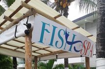 Fish Spa, Beach Break with Lounge Chairs, Umbrellas & Beach Area