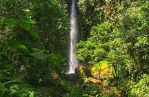 Amazon Tour in Ecuador: Puyo Day Trip from Baños
