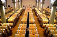 Winery tasting in Marsala and Mothia lagoon tour 