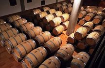 Winery tasting in Marsala and Mothia lagoon tour 