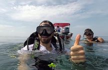 Scuba diving in Rosario Islands 