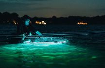 Clear Kayak Glow in the Dark